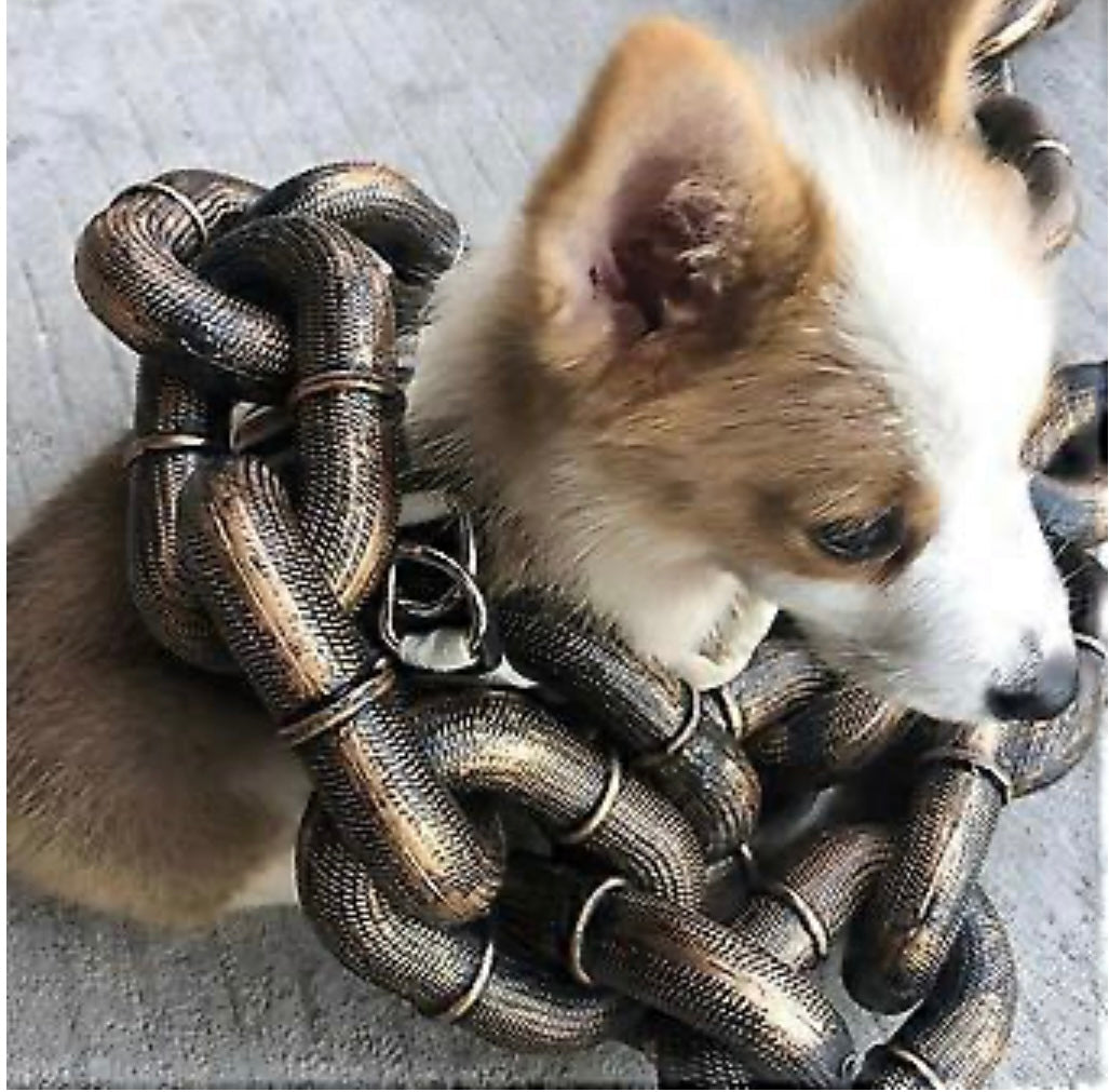 Mega Dog Chain Leash