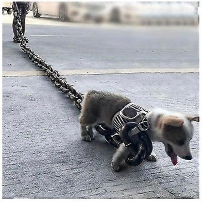 Mega Dog Chain Leash