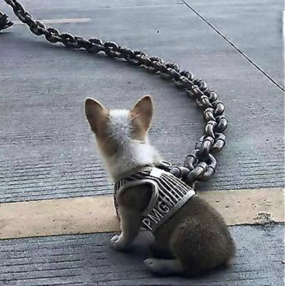 Mega Dog Chain Leash